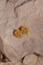 Load image into Gallery viewer, Celeste