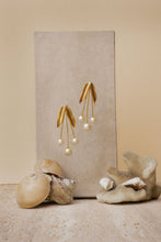 Load image into Gallery viewer, White oak