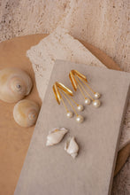 Load image into Gallery viewer, White oak