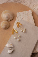 Load image into Gallery viewer, White oak