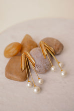 Load image into Gallery viewer, White oak